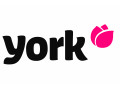 York