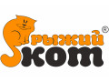 Рыжий кот