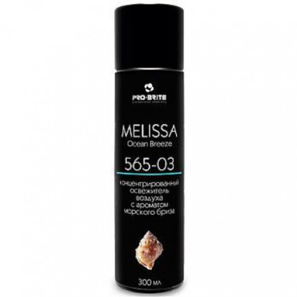 Melissa Ocean Breeze концентрированный аэрозольный освежитель воздуха с ароматом морской свежести 300 мл