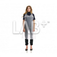 LAB017