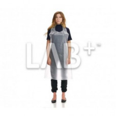 LAB017